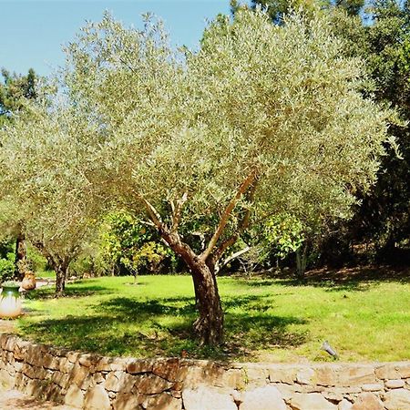 Casa Del Sole Chambres D'Hotes De Charme Favone Dış mekan fotoğraf